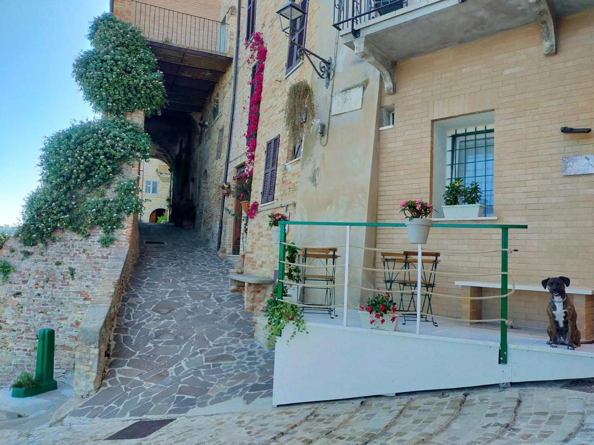 La Casina Dei Nonni Campofilone